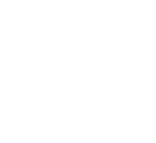 Experience Logo Decorative